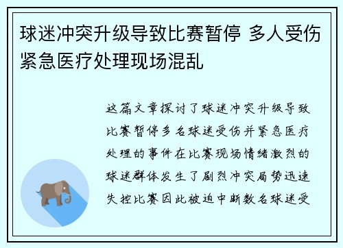 球迷冲突升级导致比赛暂停 多人受伤紧急医疗处理现场混乱